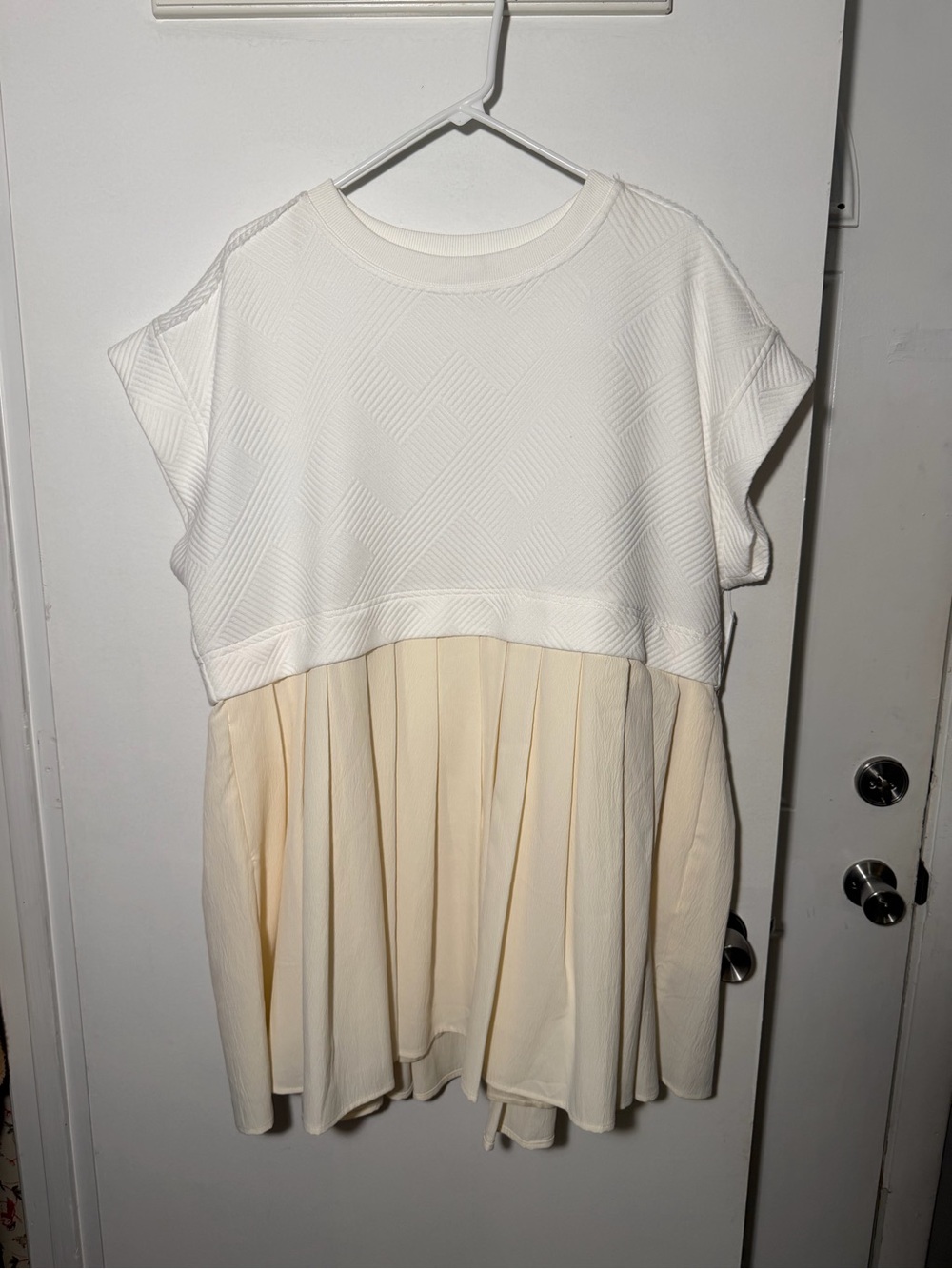 Lizard Thicket Two-Tone Pleated Dress - White & Cream